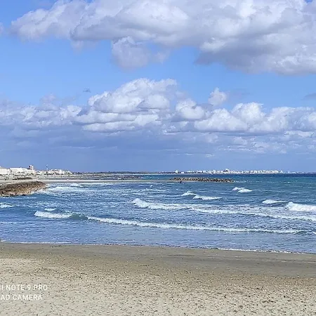 A Carnon, Entre Et Port Mauguio